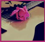 ������ ������� ��� �����