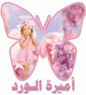 ������ ������� ����� �����