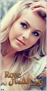 ������ ������� ��� ������