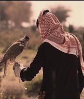 ������ ������� ���������