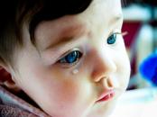 ������ ������� {������� �����}