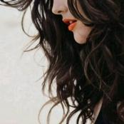 ������ ������� ����� ������